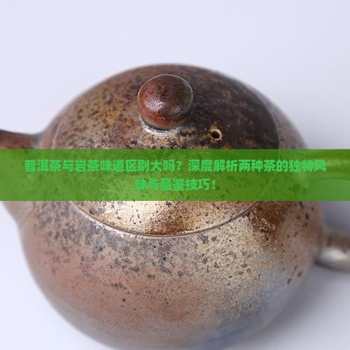 普洱茶与岩茶味道区别大吗