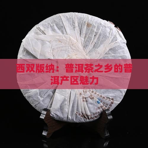 西双版纳是普洱茶之乡吗