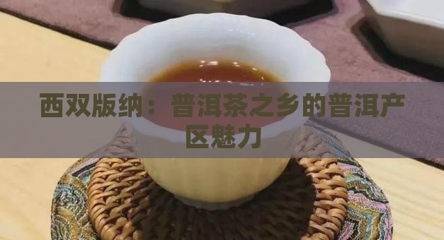 西双版纳是普洱茶之乡吗