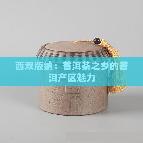 西双版纳是普洱茶之乡吗