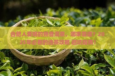 合肥熟普洱茶供应商