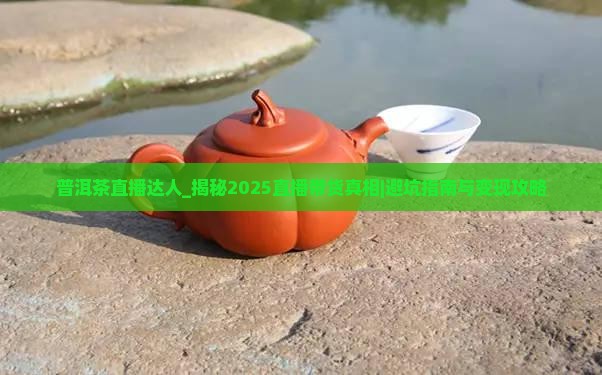 普洱茶直播达人