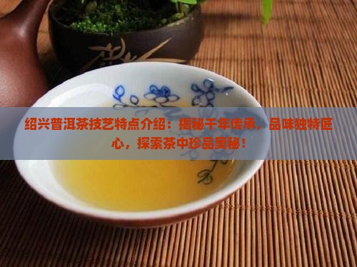 绍兴普洱茶技艺特点介绍