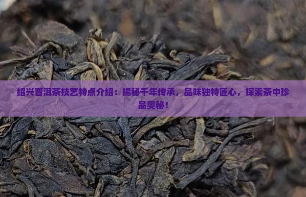 绍兴普洱茶技艺特点介绍