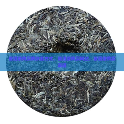 普洱茶购买购联系方式