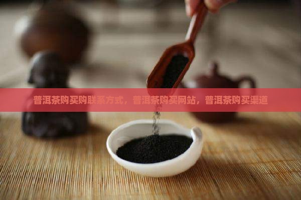 普洱茶购买购联系方式