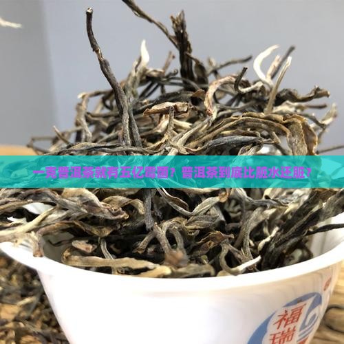 普洱茶对微生物的危害
