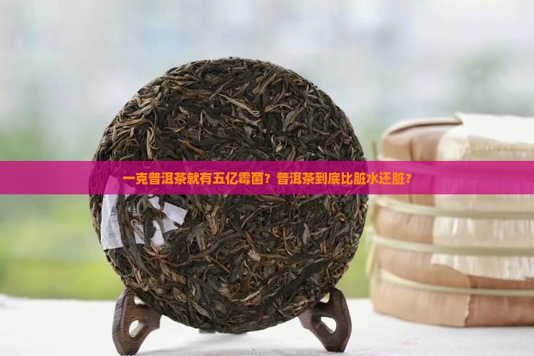 普洱茶对微生物的危害