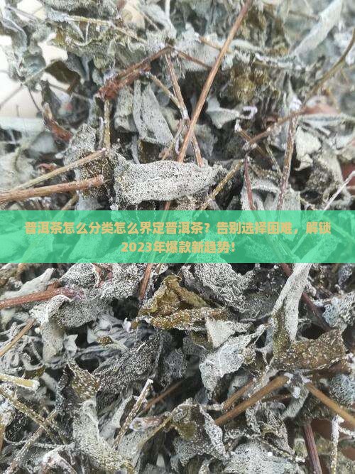普洱茶怎么分类怎么界定普洱茶