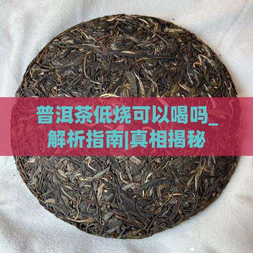 普洱茶低烧可以喝吗