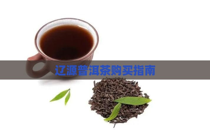 辽源哪里可以买普洱茶