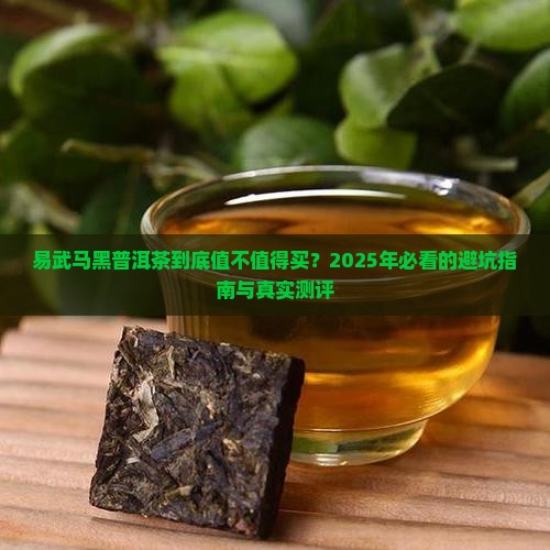 易武马黑普洱茶
