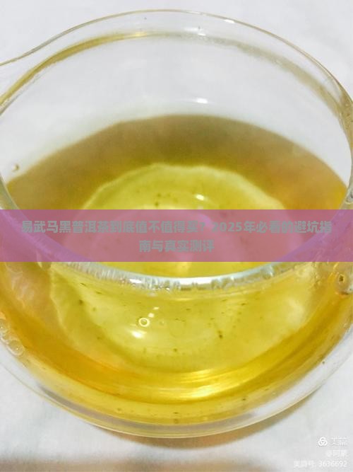 易武马黑普洱茶