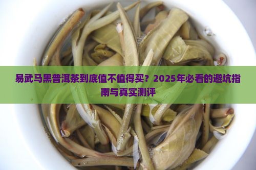 易武马黑普洱茶