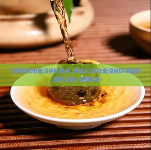 在哪买年份普洱茶好卖点