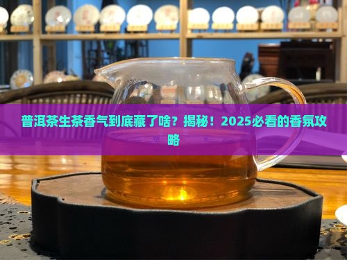 普洱茶生茶香气