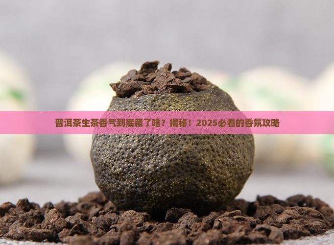 普洱茶生茶香气