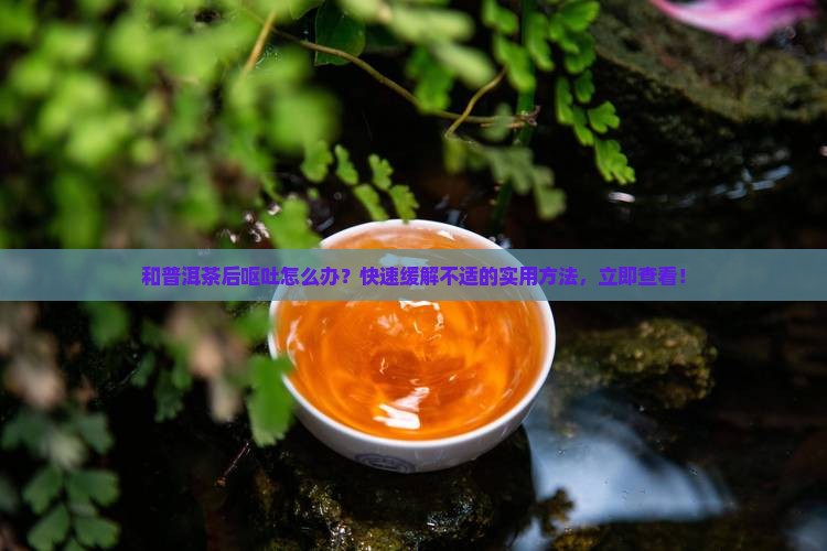 和普洱茶后呕吐怎么办