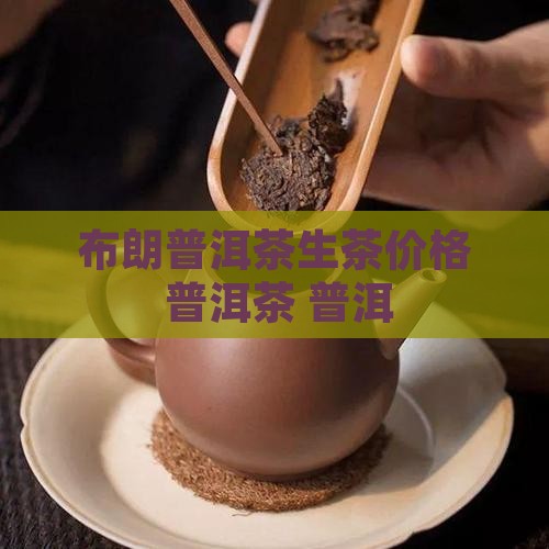 2012年布朗普洱茶生茶