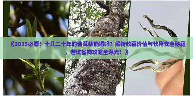 十几二十的普洱茶能喝吗