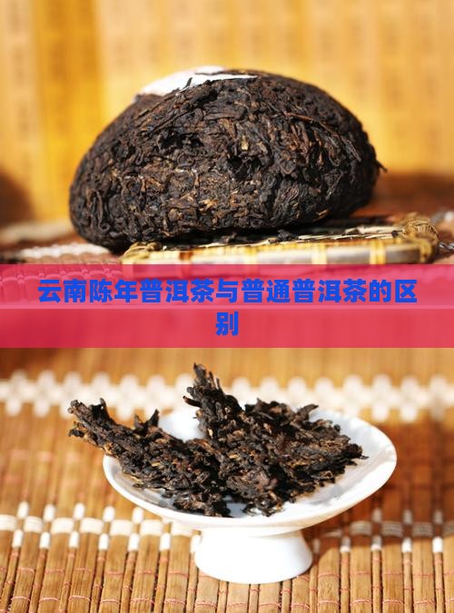 云南陈年普洱茶的区别
