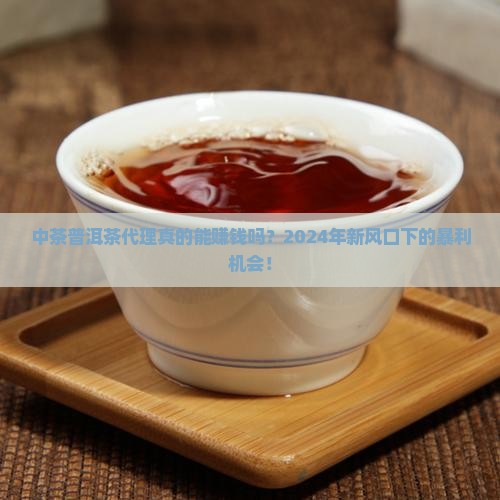 中茶普洱茶代理