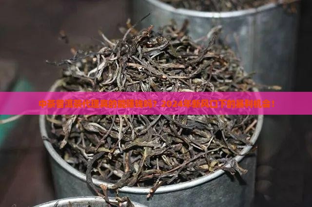 中茶普洱茶代理