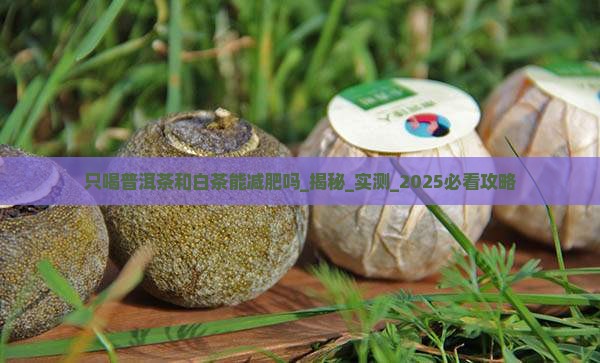 只喝普洱茶和白茶能减肥吗