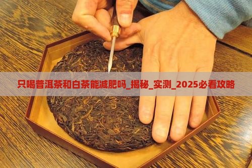 只喝普洱茶和白茶能减肥吗