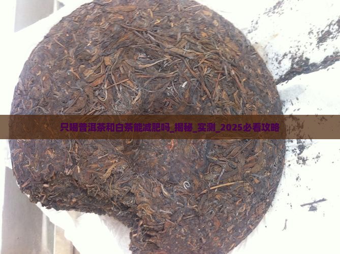 只喝普洱茶和白茶能减肥吗