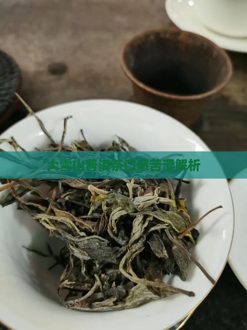 大雪山普洱茶又苦又涩