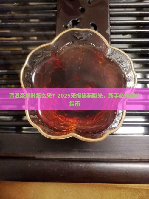 普洱茶鲜叶采摘标准