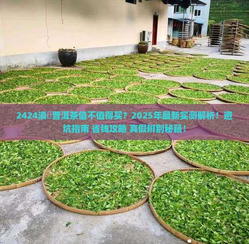 2424滇茟普洱茶