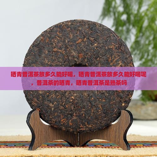 晒青普洱茶放多久能好喝