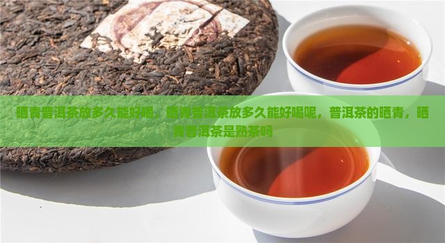 晒青普洱茶放多久能好喝