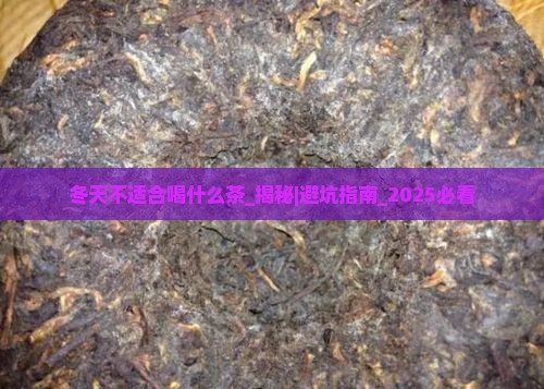 冬天不适合喝什么茶