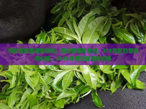 昔归砖茶普洱茶