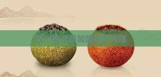 四川熟普洱茶品牌加盟代理