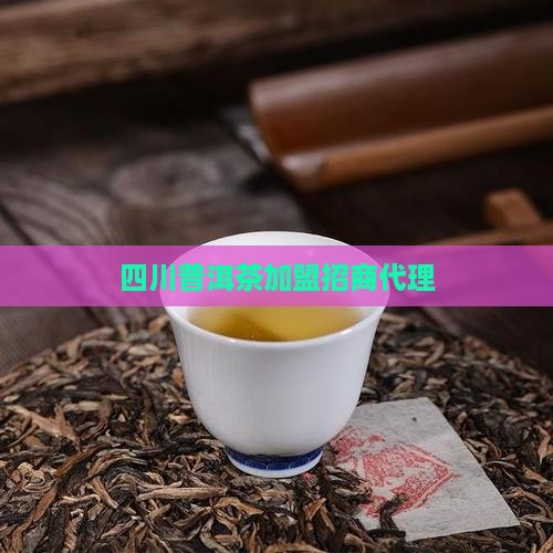 四川熟普洱茶品牌加盟代理