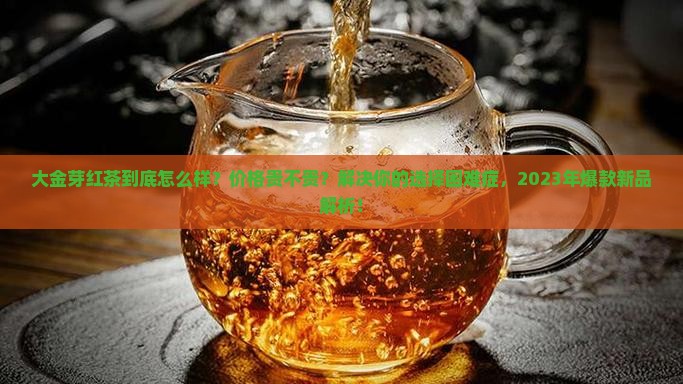 大金芽红茶怎么样价格怎么样