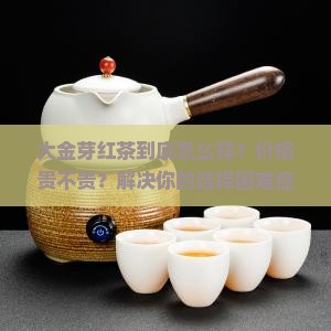 大金芽红茶怎么样价格怎么样