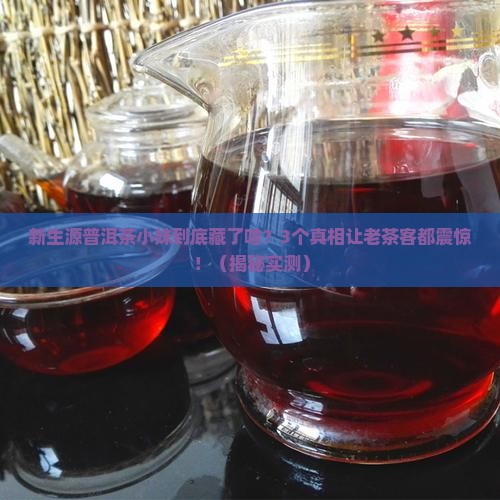 新生源普洱茶小妹