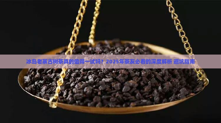 冰岛老寨古树茶好吗