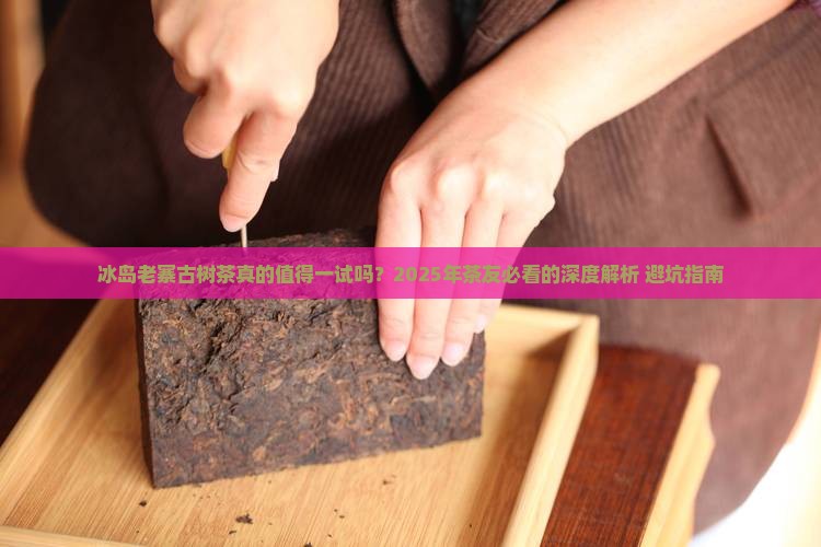 冰岛老寨古树茶好吗