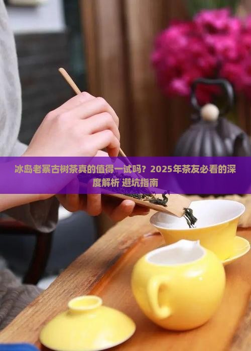 冰岛老寨古树茶好吗