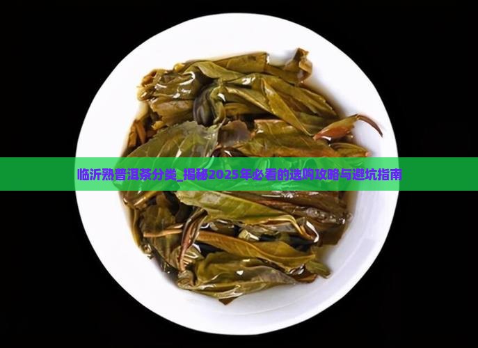 临沂熟普洱茶分类