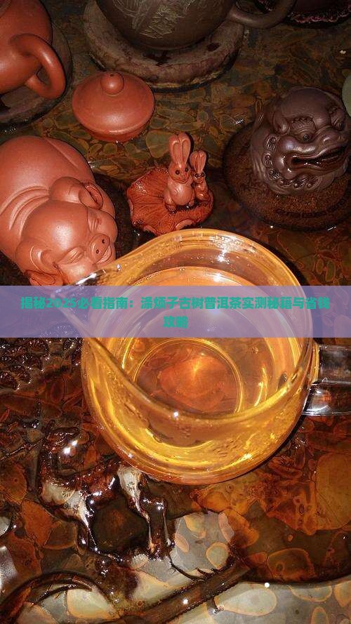 涤烦子古树普洱茶