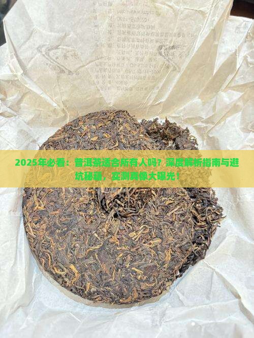 是否适合喝普洱茶