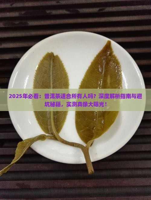 是否适合喝普洱茶
