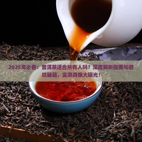 是否适合喝普洱茶